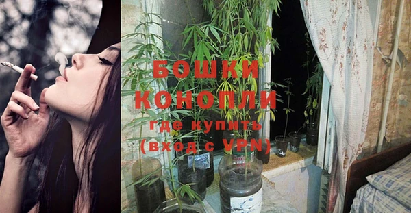 дурь Балахна