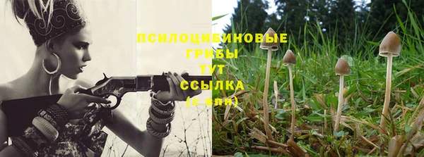 ешки Баксан