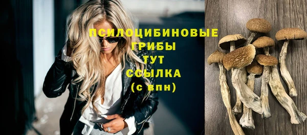 дурь Балахна